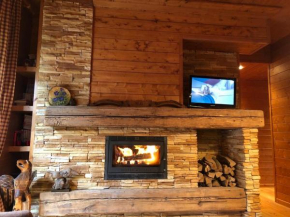 Aprica 1 Aprica
